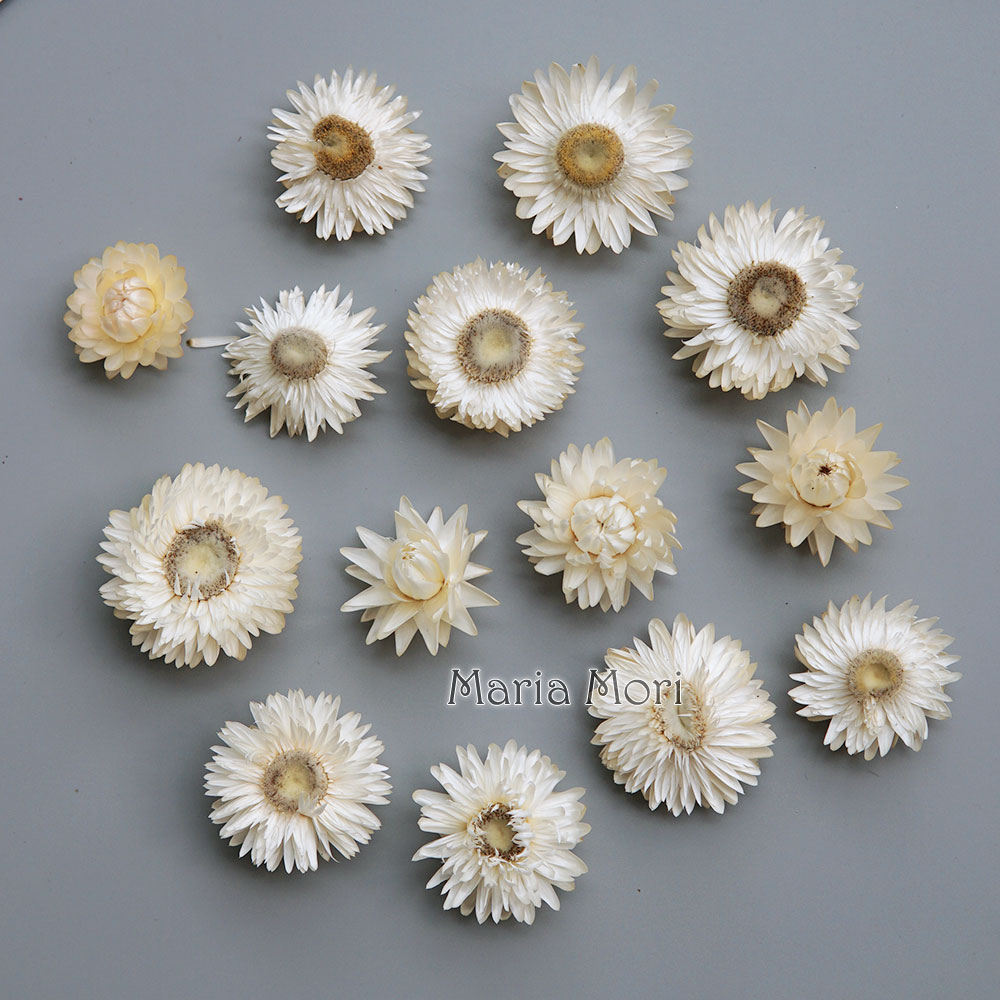 Baby Products - Couronne de chrysanthème colorée séchée naturelle,